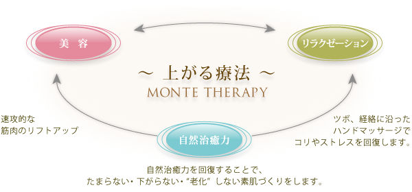 �����e�Z���s�[�t�F�C�V�����̊T���}